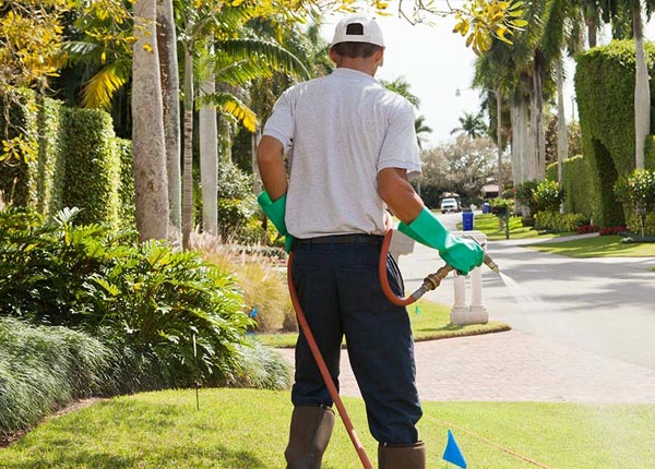 About Malvern AR Pest Control Pros